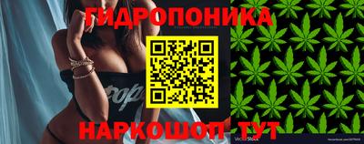 эйфоретик Комсомольск-на-Амуре