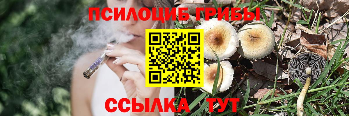 Галлюциногенные грибы Cubensis Королёв